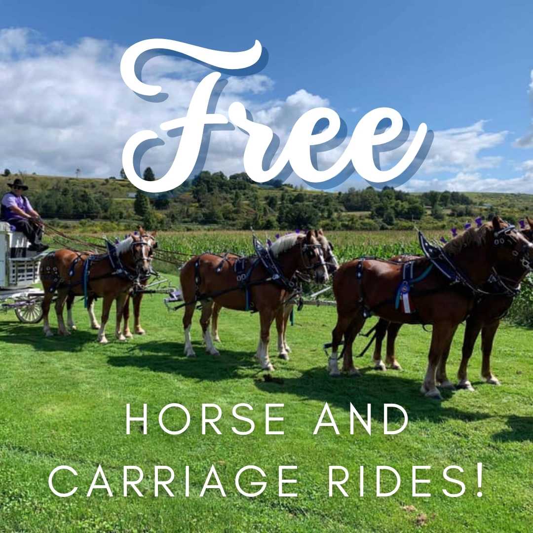 Free horse and carriage rides