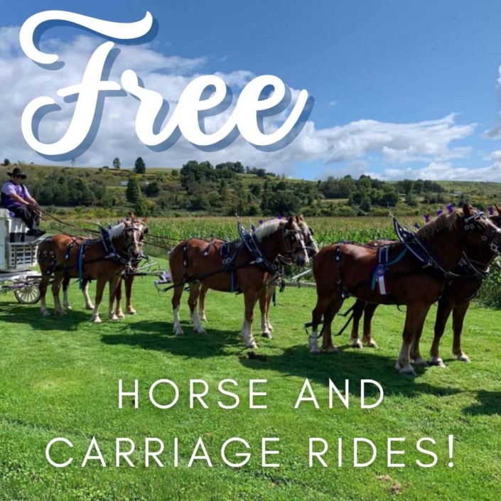 Free Horse and Carriage Rides