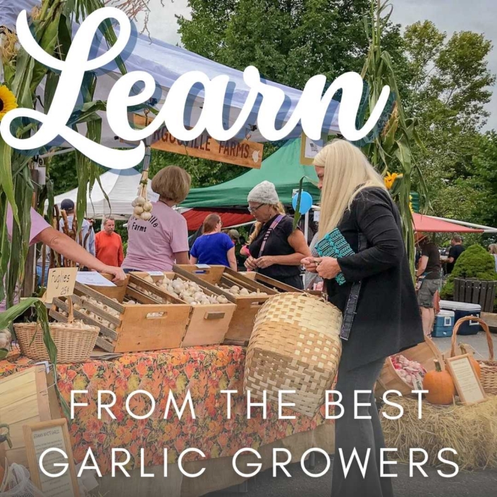 Learn from the Best Garlic Growers